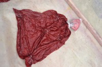 /album/casecouleurs/phase-1-jpg/